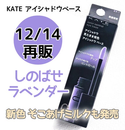 ケイト カラーコントロールアイベース/KATE/アイシャドウベースを使ったクチコミ(1枚目)