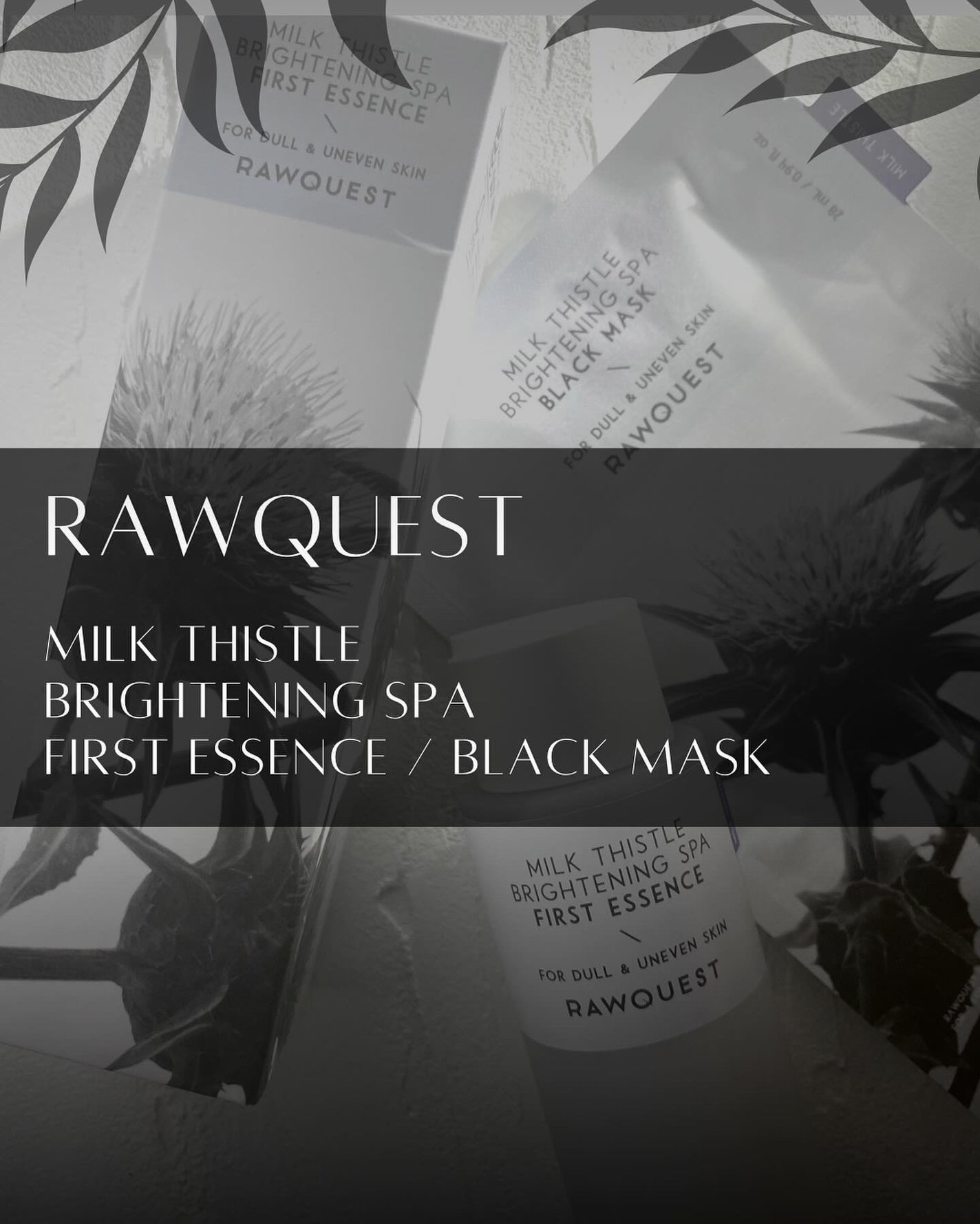 say9 on LIPS 「RAWQUEST様よりご提供頂きました・ᴗ・♡!✣✣–..」(1枚目)