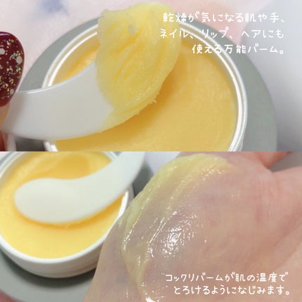 バイタル イン チェジュ マルチバーム/ACCOJE/フェイスバームを使ったクチコミ(4枚目)