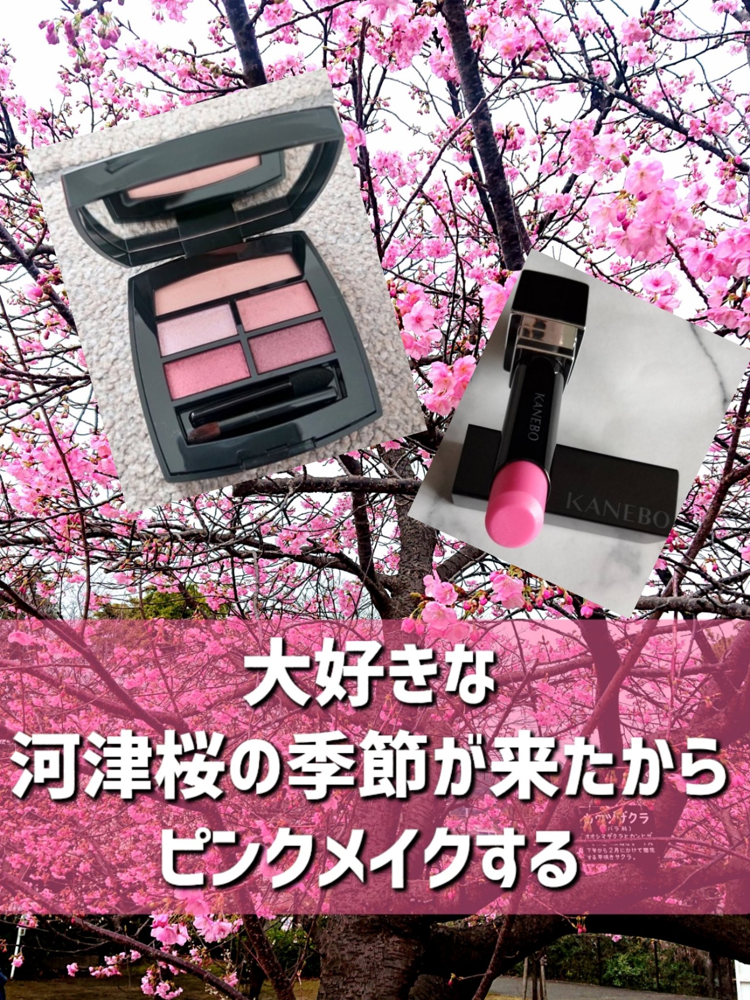 レ ベージュ パレット ルガール/CHANEL/アイシャドウパレットを使ったクチコミ（1枚目）