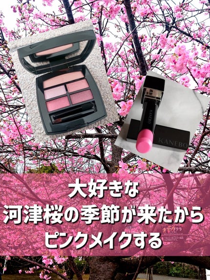 レ ベージュ パレット ルガール/CHANEL/アイシャドウパレットを使ったクチコミ(1枚目)