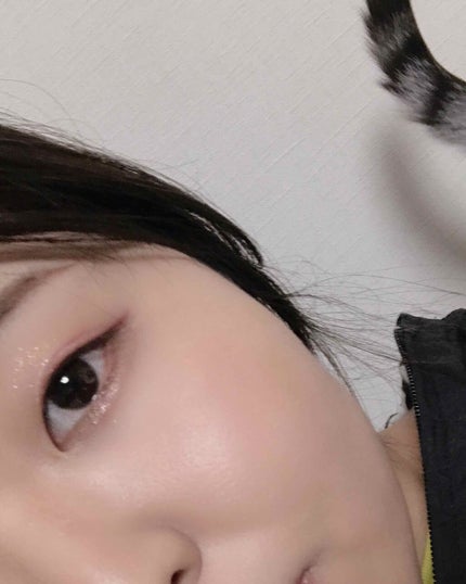 プロ シングル シャドウ/CLIO/単色アイシャドウを使ったクチコミ(1枚目)