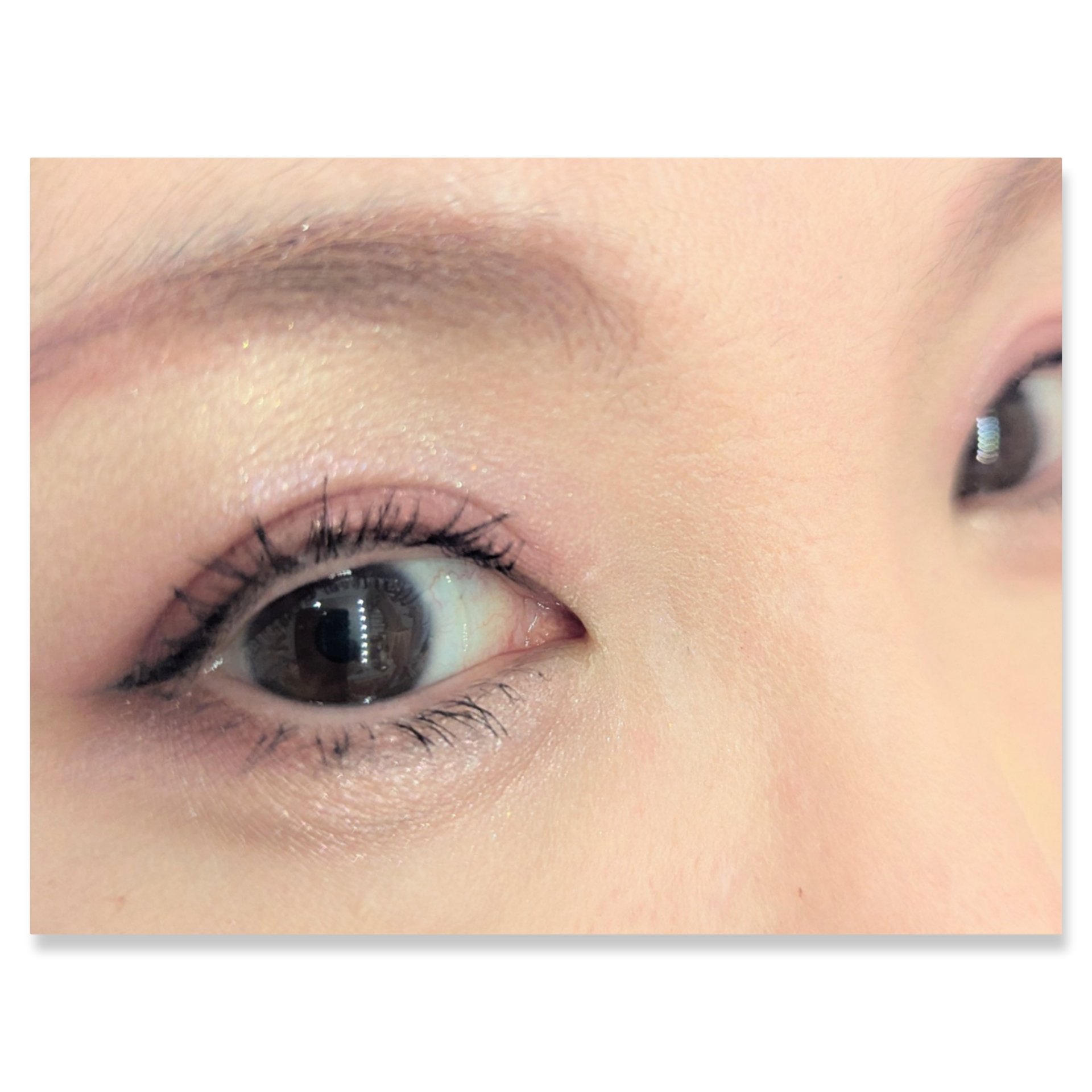 セレクト アイカラー Ｎ/ESPRIQUE/単色アイシャドウを使ったクチコミ（2枚目）