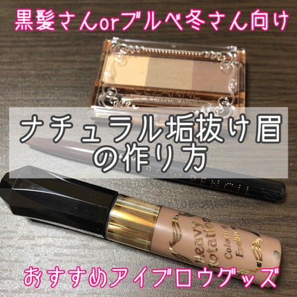 カラーリングアイブロウ/ヘビーローテーション/眉マスカラを使ったクチコミ(1枚目)