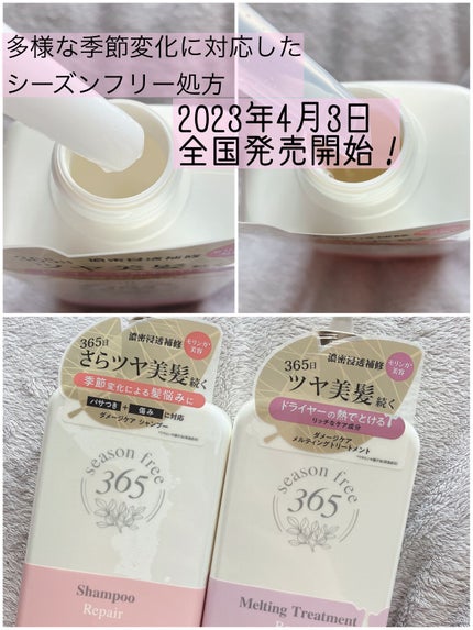 ãªã㢠ã·ã£ã³ããŒ/ã¡ã«ãã£ã³ã°ããªãŒãã¡ã³ã/season free 365/åžè²©ã·ã£ã³ããŒã䜿ã£ãã¯ãã³ãïŒ1æç®ïŒ