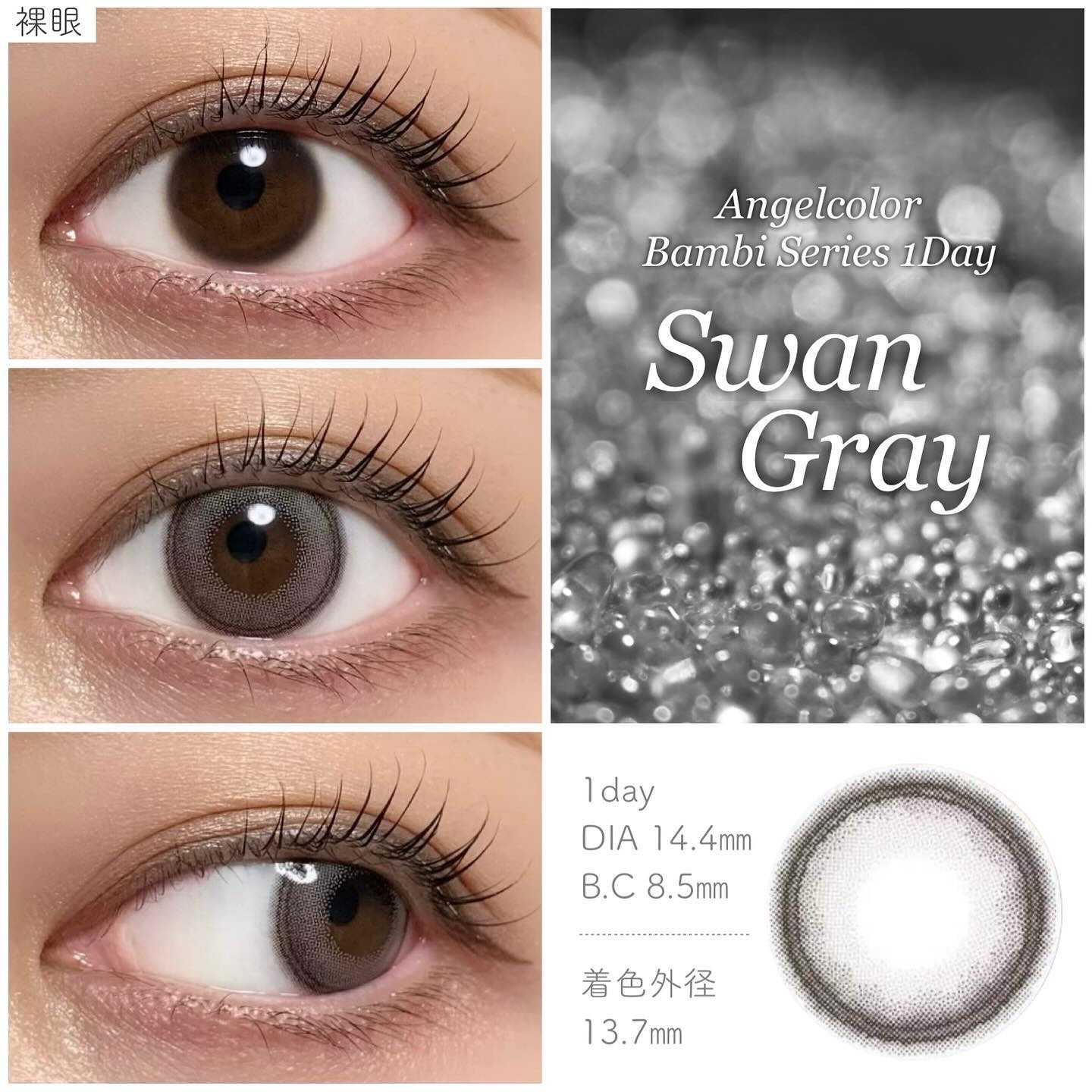 Angelcolor Bambi Series 1day  スワングレー/AngelColor/ワンデー（１DAY）カラコンを使ったクチコミ（2枚目）