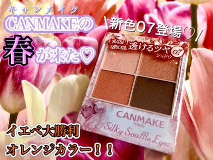 シルキースフレアイズ/キャンメイク/アイシャドウパレットを使ったクチコミ(1枚目)