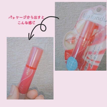 リップフォンデュ/メンソレータム/リップバームを使ったクチコミ(2枚目)