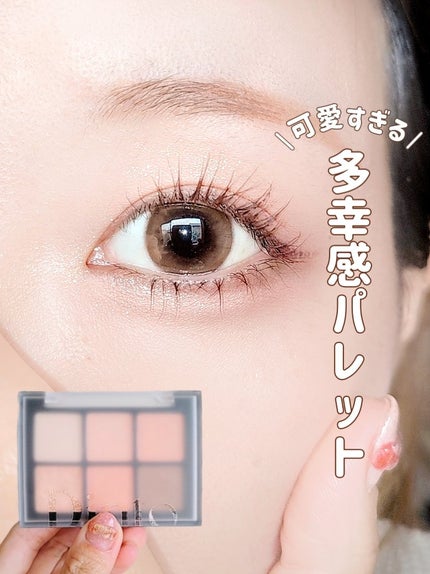 ブラーフィニシュシャドウパレット/Dinto/アイシャドウパレットを使ったクチコミ(1枚目)