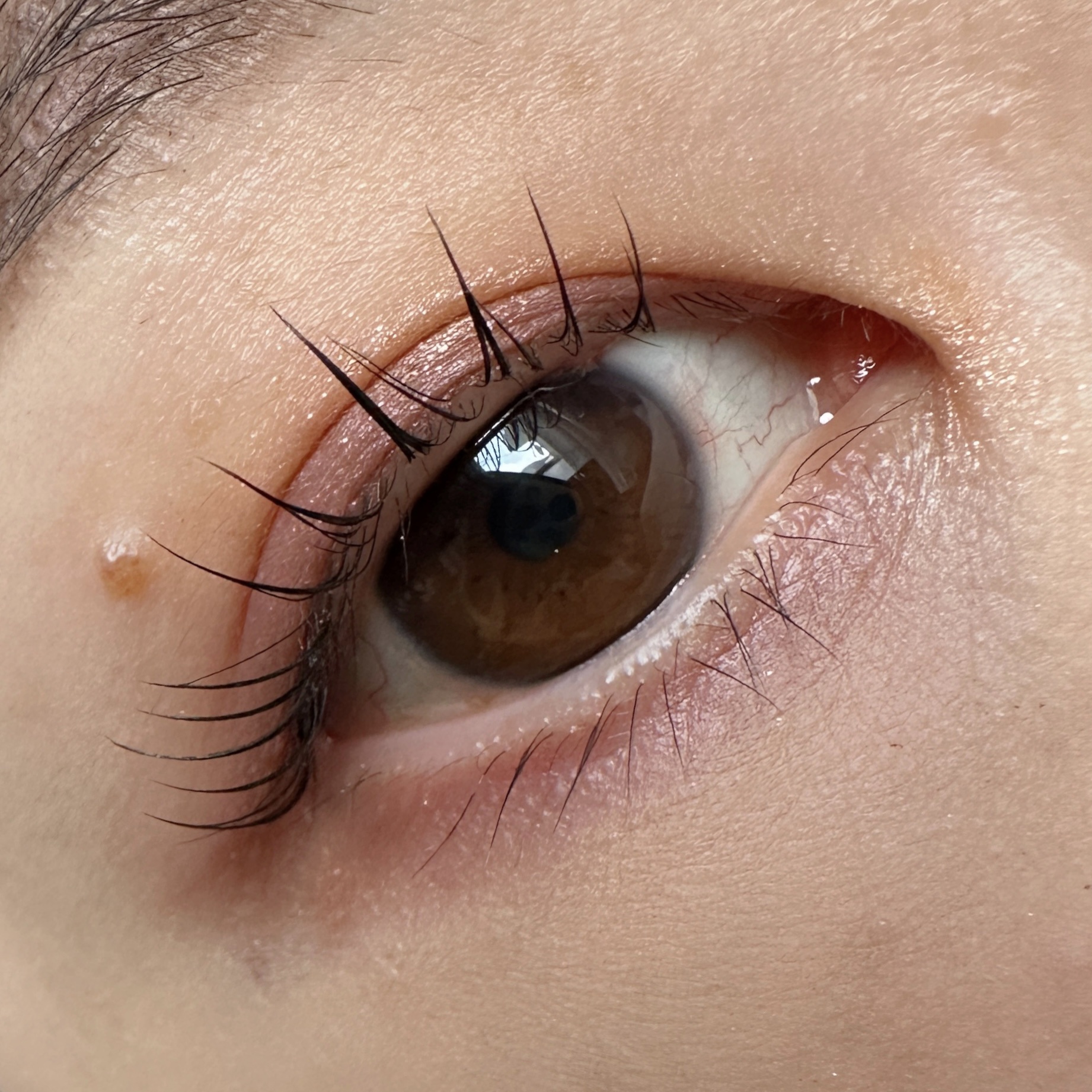 シグニチャー カラー アイズ/SUQQU/アイシャドウパレットを使ったクチコミ（2枚目）