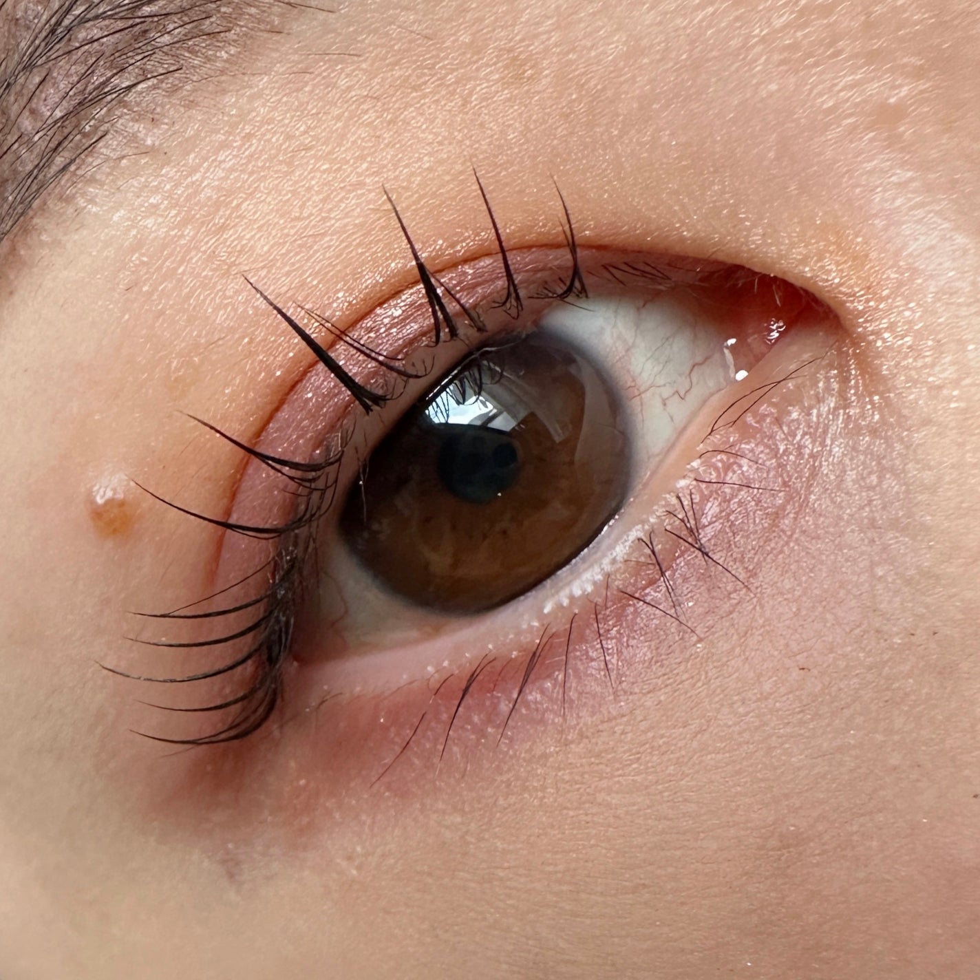 クリーミータッチライナー/キャンメイク/ジェルアイライナーを使ったクチコミ(2枚目)