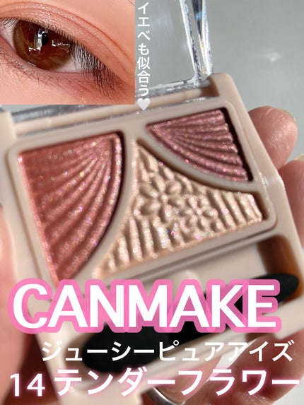 ジューシーピュアアイズ/キャンメイク/アイシャドウパレットを使ったクチコミ(1枚目)