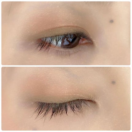 シルキースフレアイズ/キャンメイク/アイシャドウパレットを使ったクチコミ(4枚目)