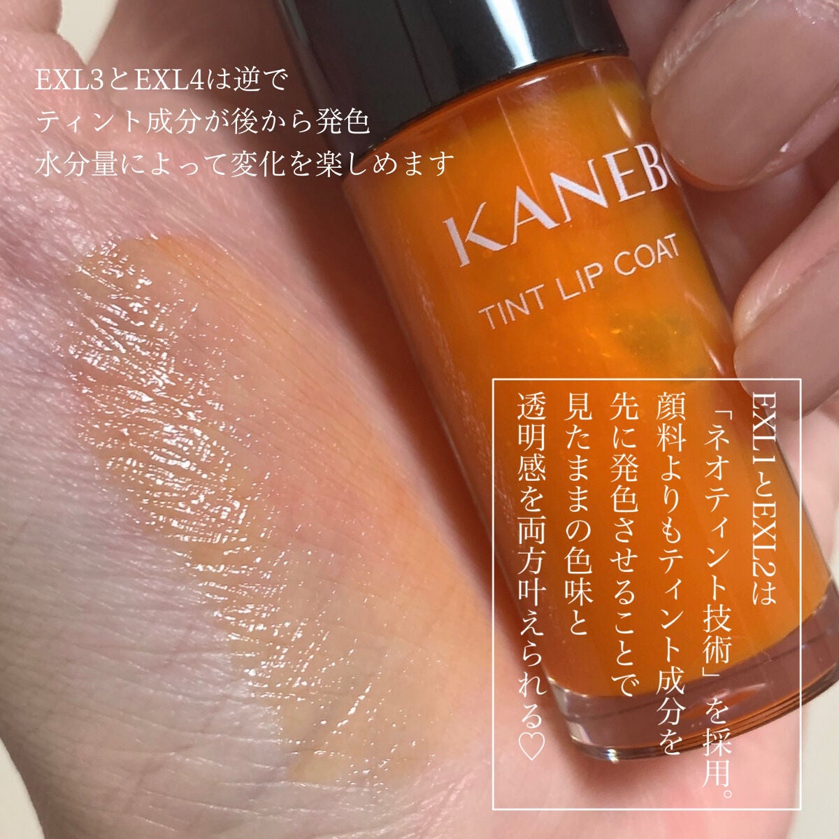 ティントリップコート/KANEBO/リップグロスを使ったクチコミ(3枚目)