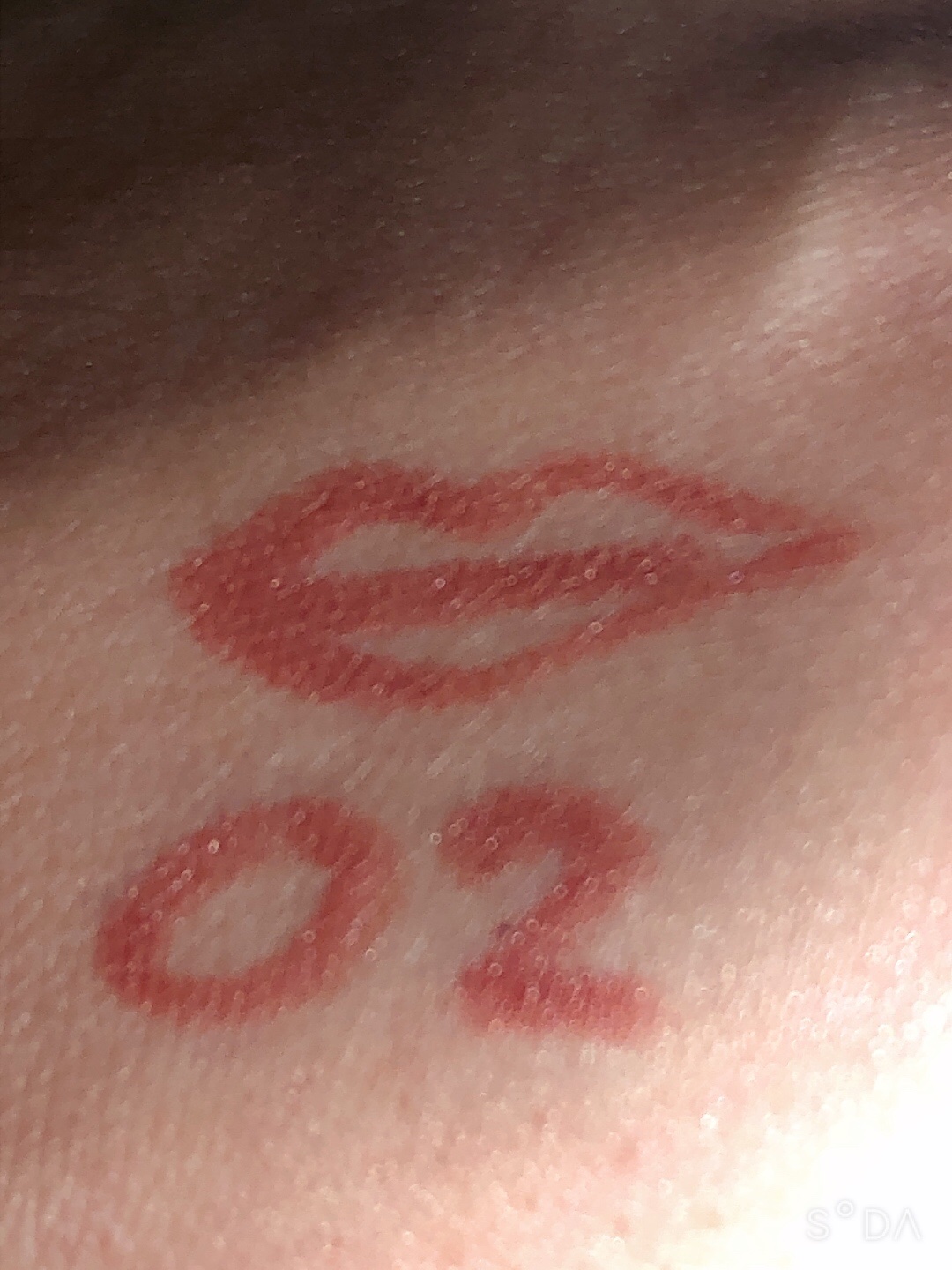 リップライナー 02 ソフトブラウン/キスミー フェルム/リップライナーを使ったクチコミ（3枚目）