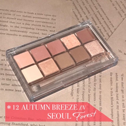 プロ アイ パレット/CLIO/アイシャドウパレットを使ったクチコミ(2枚目)