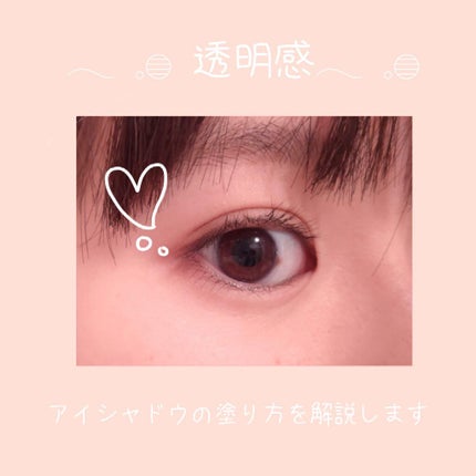 パーフェクトマルチアイズ/キャンメイク/アイシャドウパレットを使ったクチコミ(1枚目)