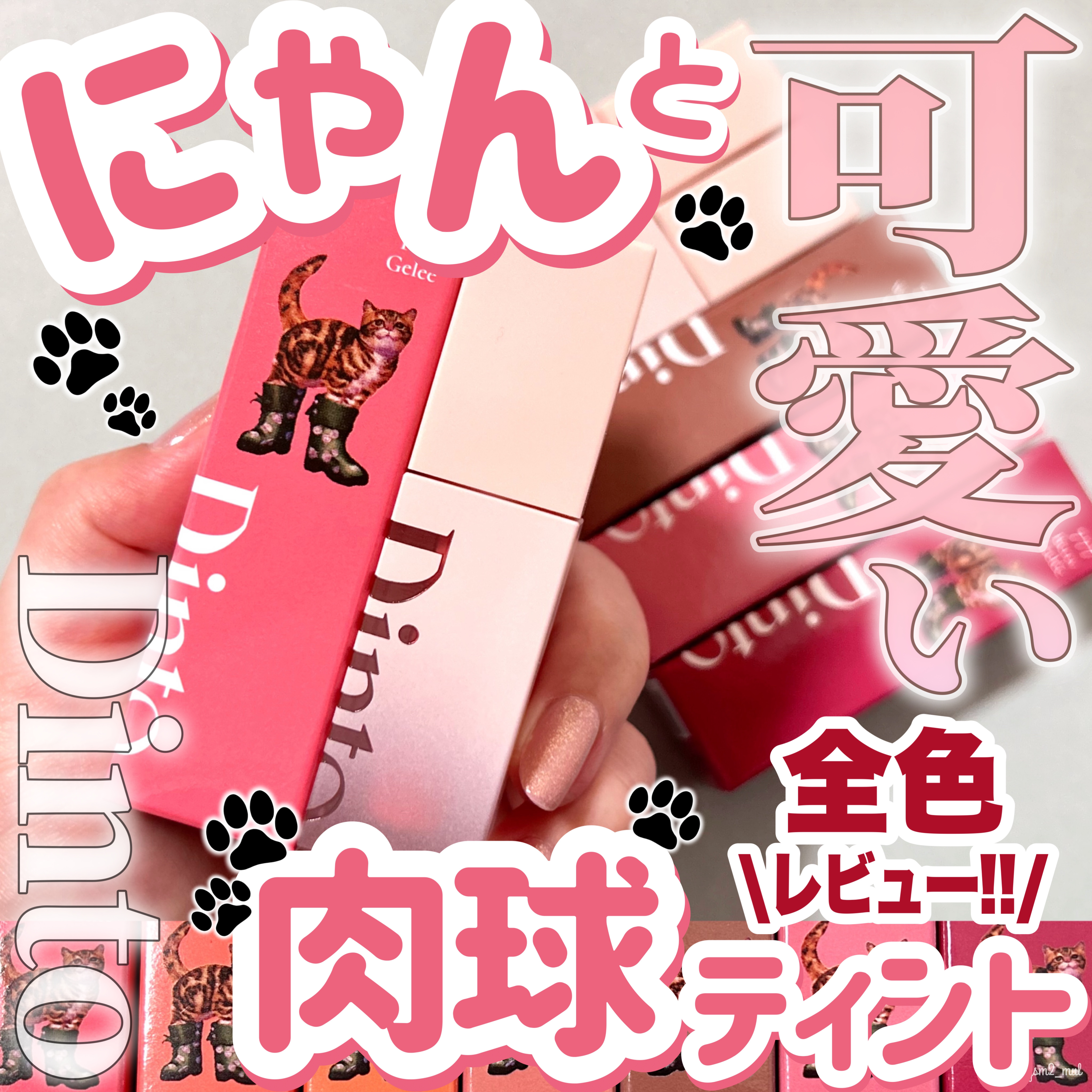 （ル・シャ ボテコレクション）ブラーゼリーボリュームリップティント/Dinto/リップティントを使ったクチコミ（1枚目）