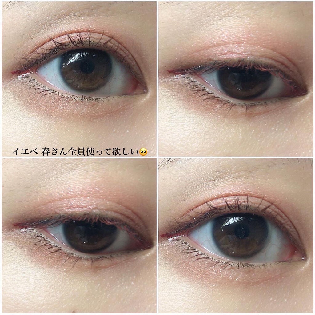 パノラマデザイン アイパレット/Visée/アイシャドウパレットを使ったクチコミ(4枚目)