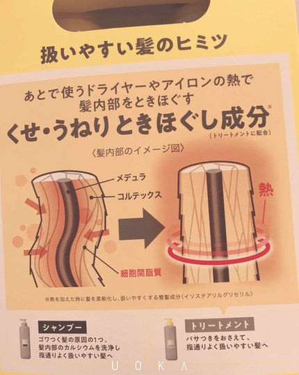 くせ・うねりメンテナンスシャンプー&トリートメント(モイスト&モイスト)/エッセンシャル flat/シャンプー・コンディショナーを使ったクチコミ(2枚目)