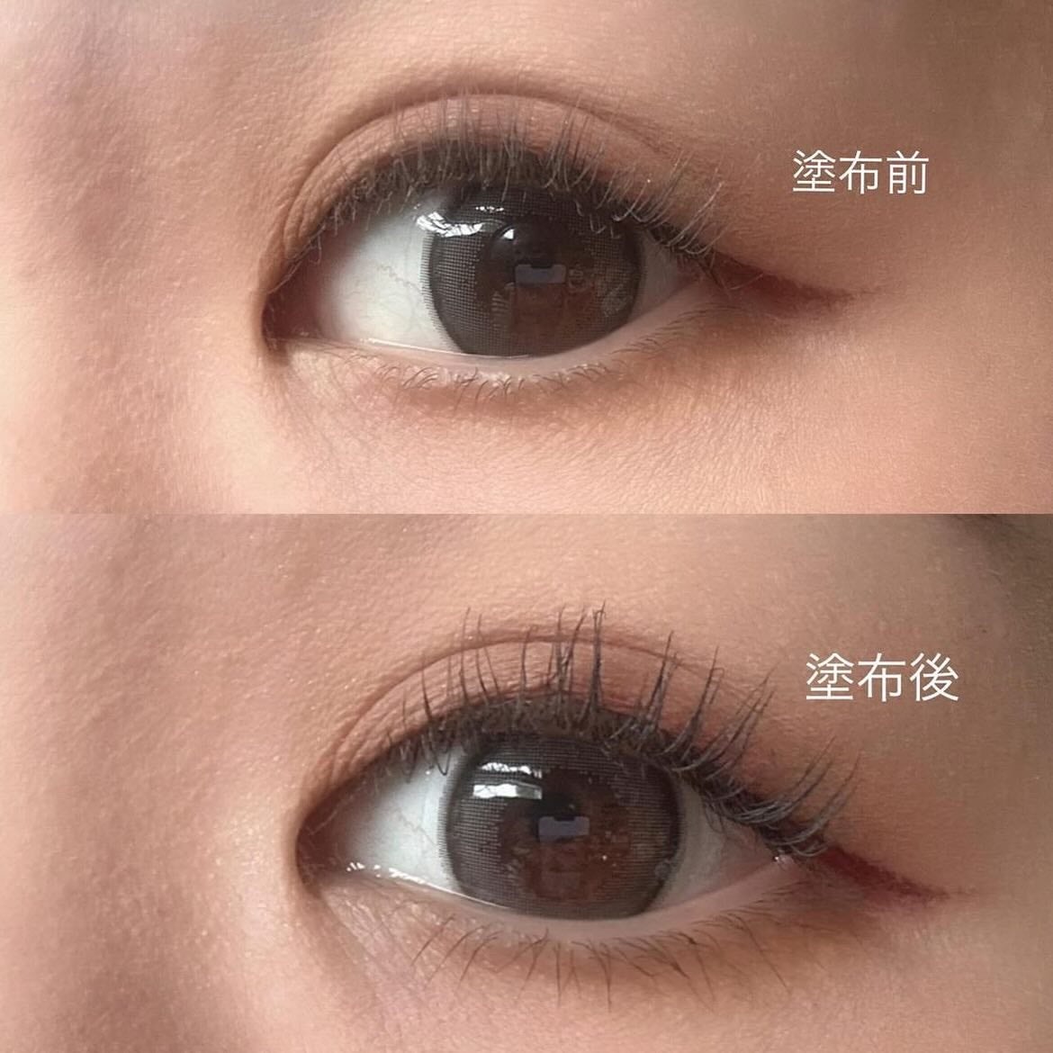 ミゼルエディ カールアップマスカラ ロング/ミゼルエディ/マスカラを使ったクチコミ(5枚目)