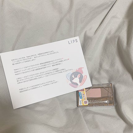 ノーズ&アイブロウパウダー/CEZANNE/パウダーアイブロウを使ったクチコミ(1枚目)