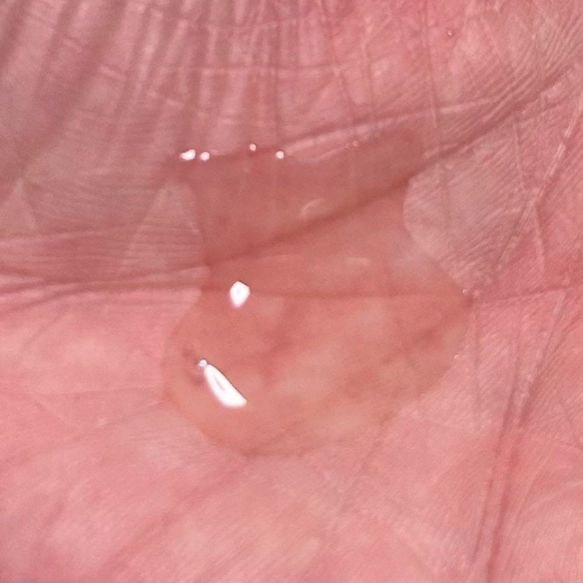 メルト スムースシャンプー/トリートメント/melt/市販シャンプーを使ったクチコミ(2枚目)