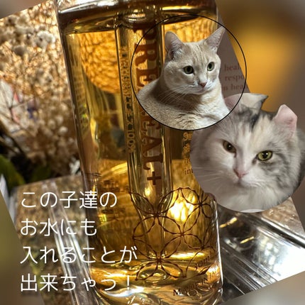 PREMEAL+/BYRON/美容サプリメントを使ったクチコミ(4枚目)