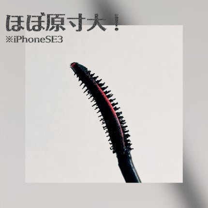 マスカラ ヴォリューム エフォシル カーラー SP/YVES SAINT LAURENT BEAUTE/マスカラを使ったクチコミ(2枚目)