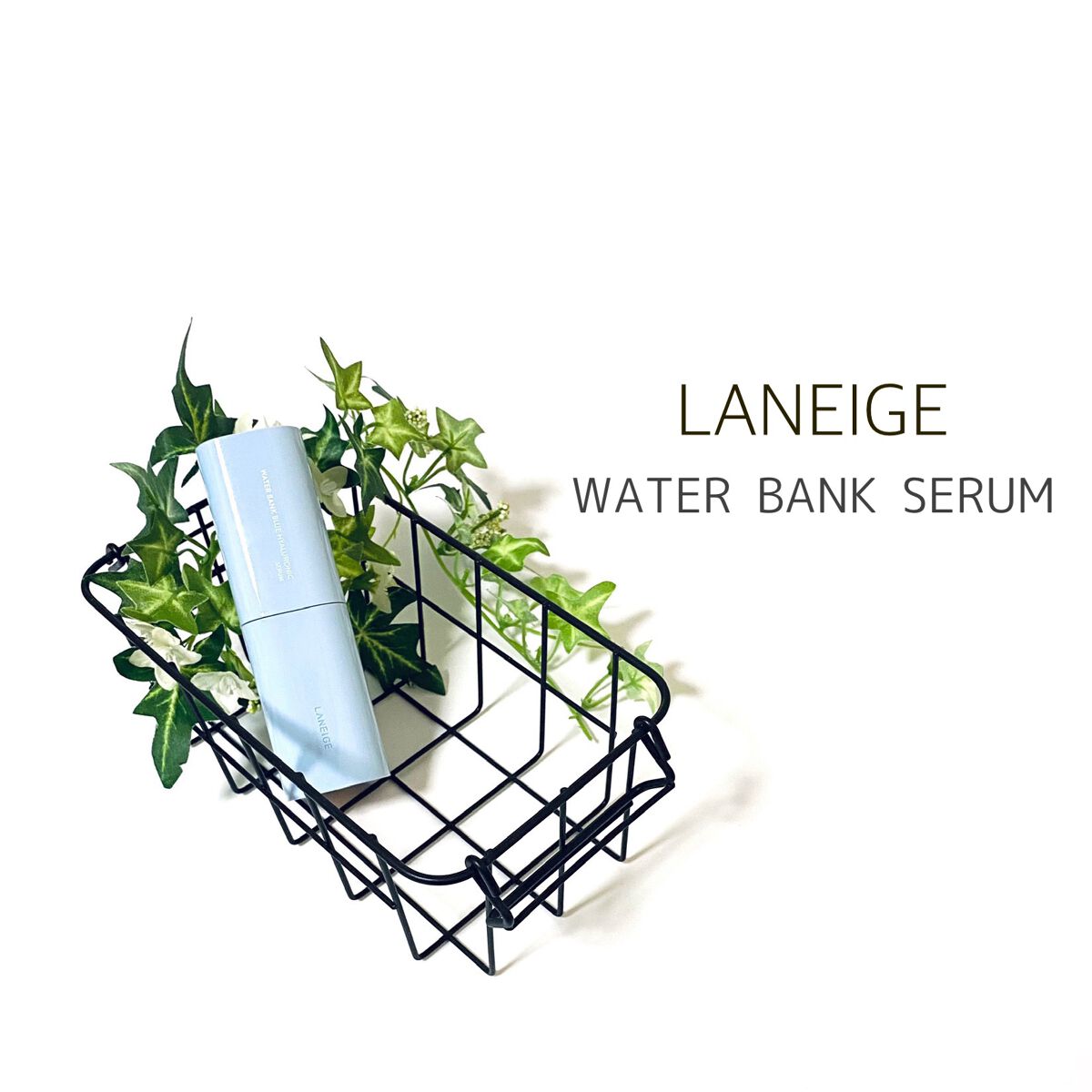 ウォーターバンク セラム/LANEIGE/美容液を使ったクチコミ(1枚目)