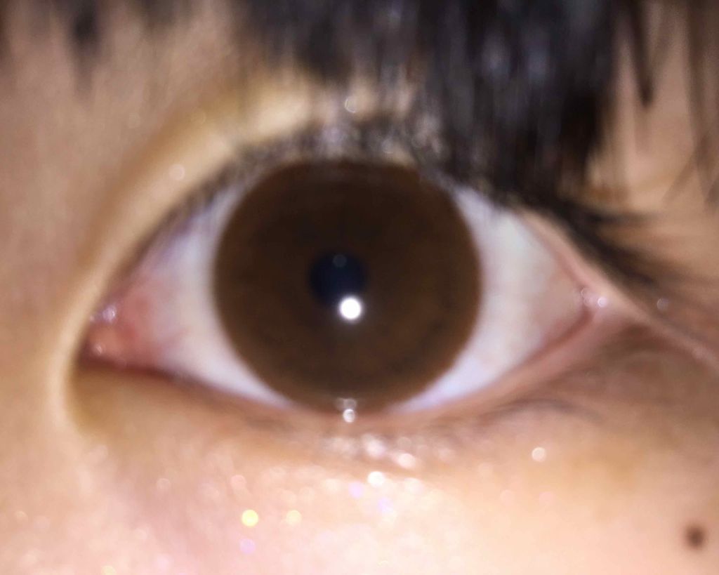 デコラティブアイズ ヴェール/Decorative Eyes/カラーコンタクトレンズを使ったクチコミ（1枚目）