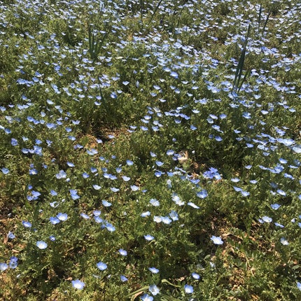 ネイルポリッシュリムーバー EX/D-UP/除光液を使ったクチコミ(3枚目)