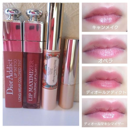 さくら もちこ🌸 on LIPS 「💄✨2019年ベストコスメ⛄️❄️✨今年も沢山の素敵なコスメと..」(4枚目)