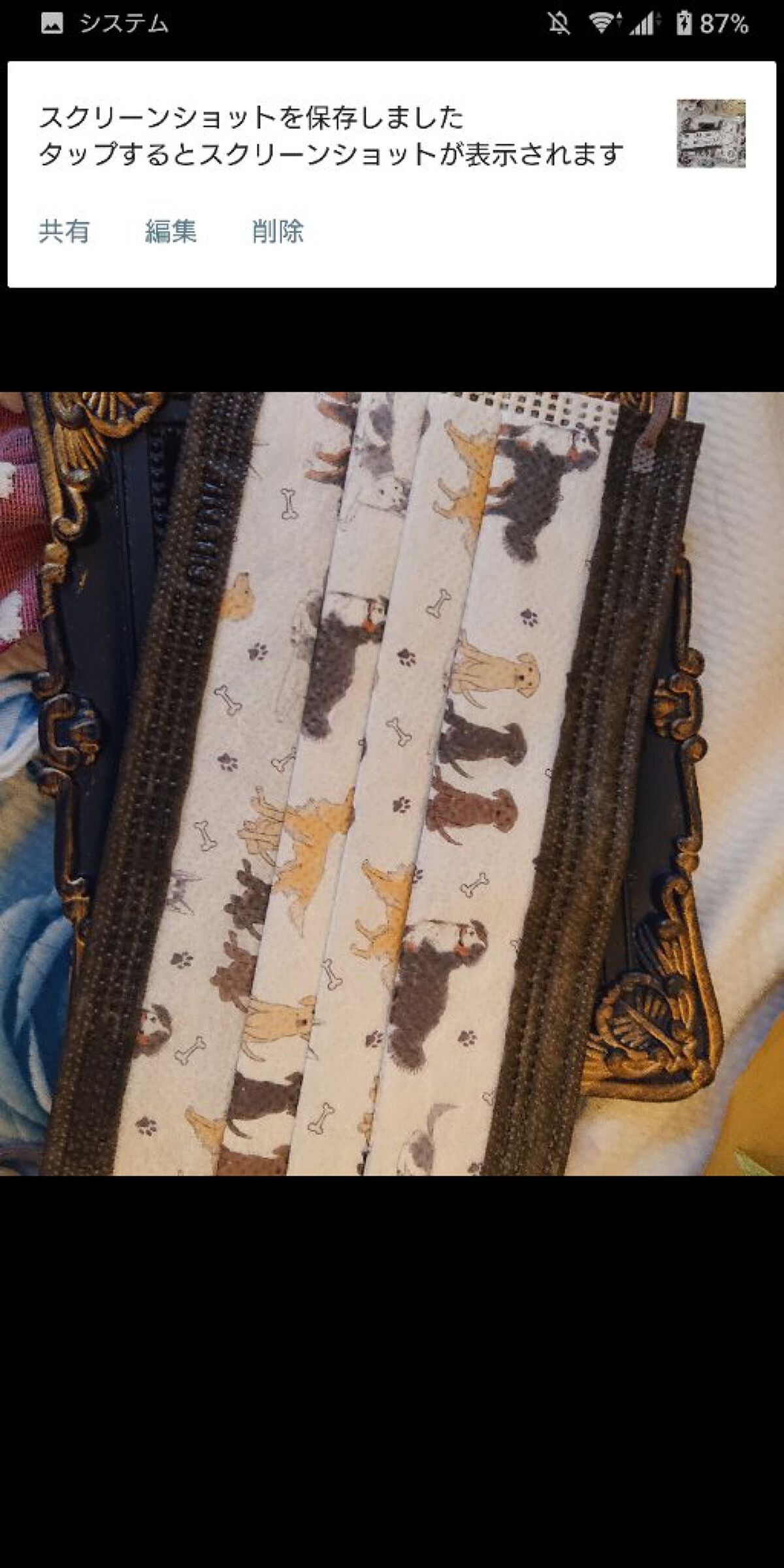 サージカルマスク/JIUJIU/マスクを使ったクチコミ(8枚目)