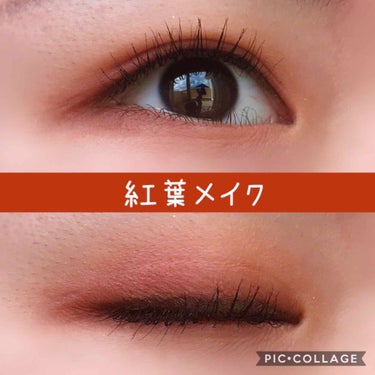 ＜紅葉メイク＞

❀eye
・makeuprevolution soph eyeshadowpalette
  iced coffee→広めにアイホール全体と下まぶた全体
  peaches→アイホール