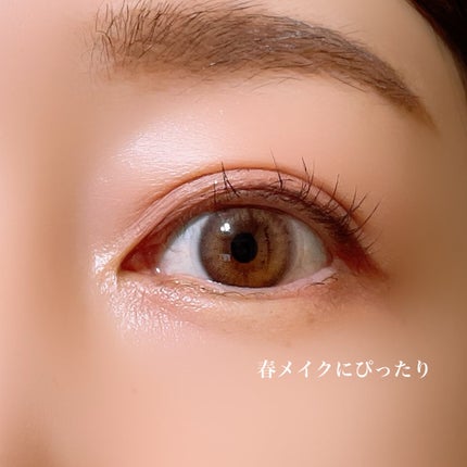プロ アイ パレット/CLIO/アイシャドウパレットを使ったクチコミ(5枚目)