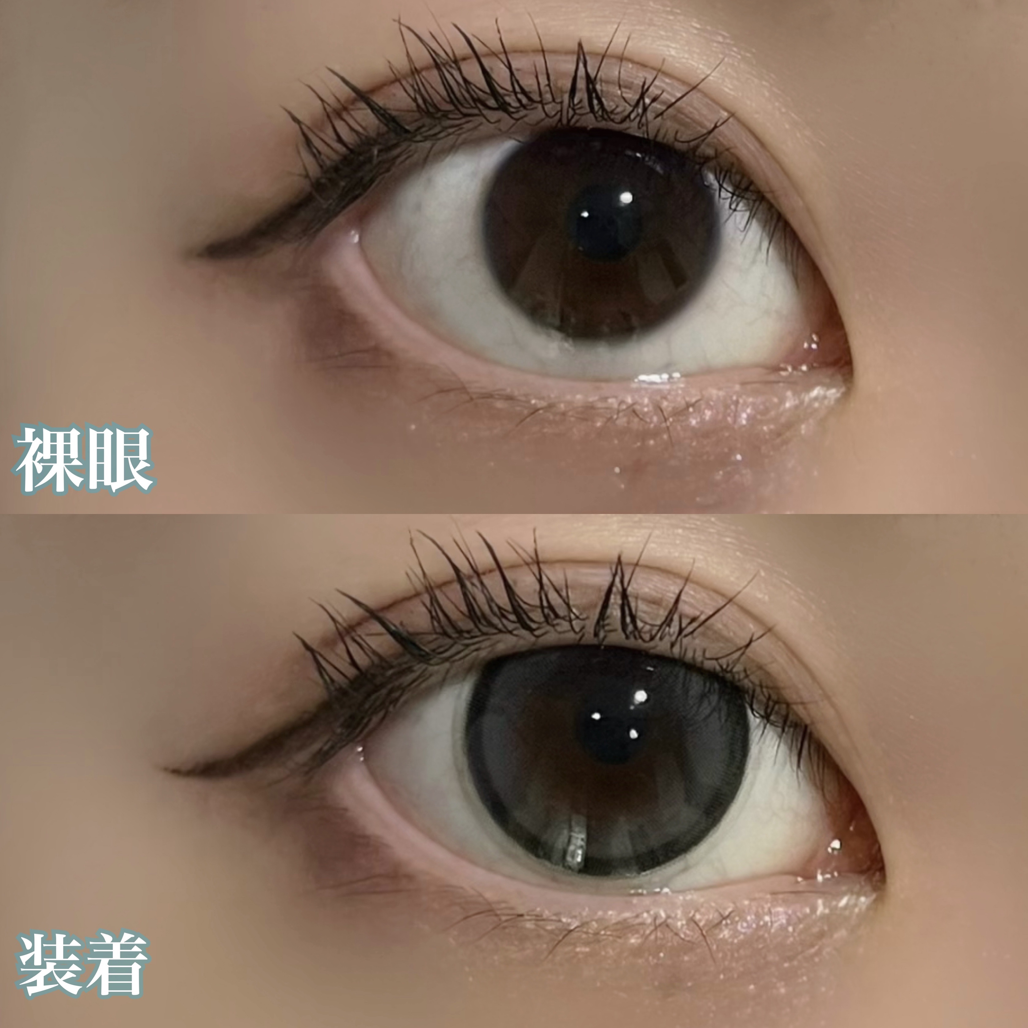 candymagic1day（キャンディーマジックワンデー）/candy magic/ワンデー（１DAY）カラコンを使ったクチコミ（3枚目）