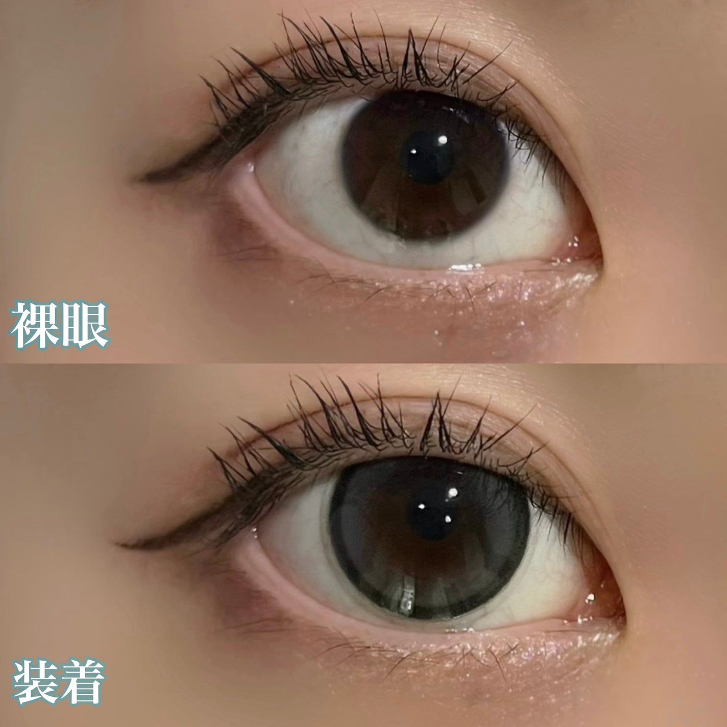 candymagic1day(キャンディーマジックワンデー)/candy magic/ワンデー(1DAY)カラコンを使ったクチコミ(3枚目)