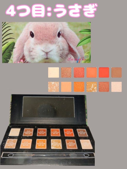 Coloud Geometry/Lameila/単色アイシャドウを使ったクチコミ(5枚目)