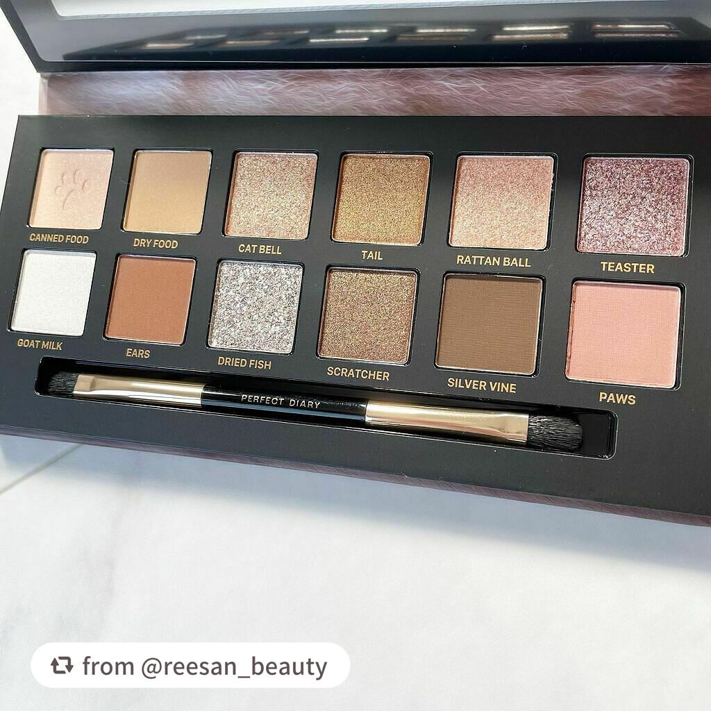 エクスプローラ12色 動物アイシャドウパレット/PERFECT DIARY/アイシャドウパレットを使ったクチコミ(3枚目)