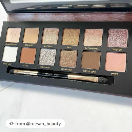 エクスプローラ12色 動物アイシャドウパレット/PERFECT DIARY/アイシャドウパレットを使ったクチコミ(3枚目)