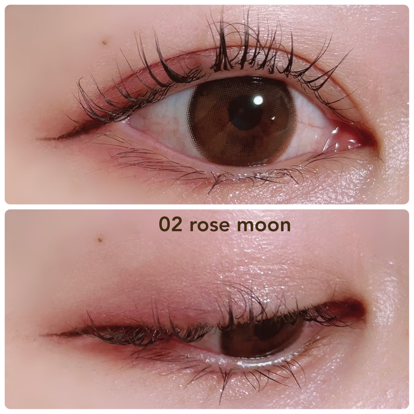 カクテルルーチェアイパレット/haomii/マルチパレットを使ったクチコミ(6枚目)