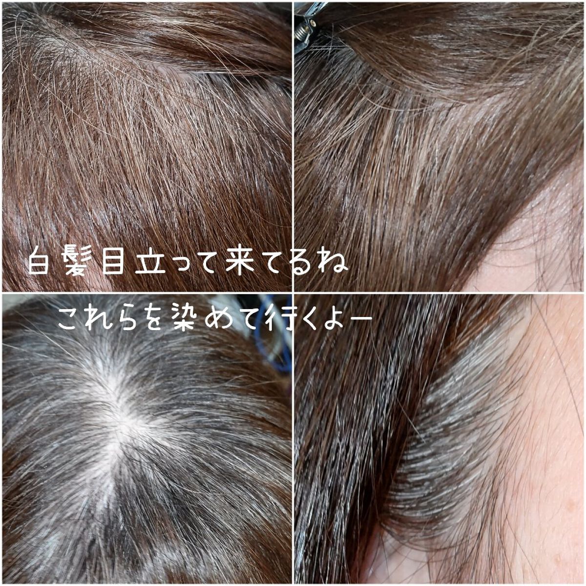 CIELO ヘアカラーミルキーのクチコミ「こんばんは、コンパスです。

今日は毛染め!

◆ CIELO
シエロ ミルキー
4Pピュアブ.....」（2枚目）