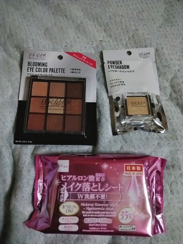 いーちゃん♡ on LIPS 「DAISOにアイスピック買いに行ったついでにメイク道具コーナー..」（1枚目）