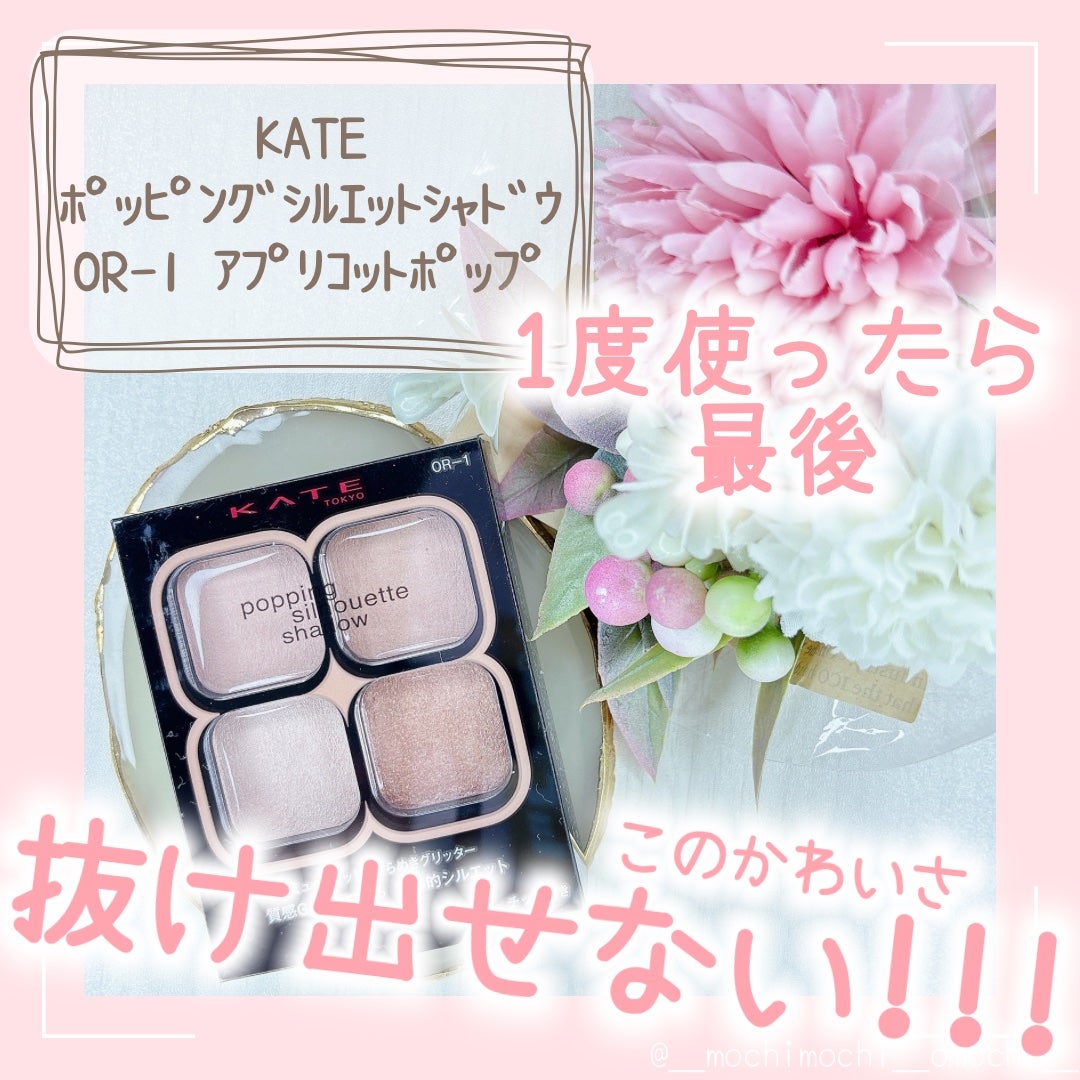 ケイト ポッピングシルエットシャドウ/KATE/アイシャドウパレットを使ったクチコミ(1枚目)