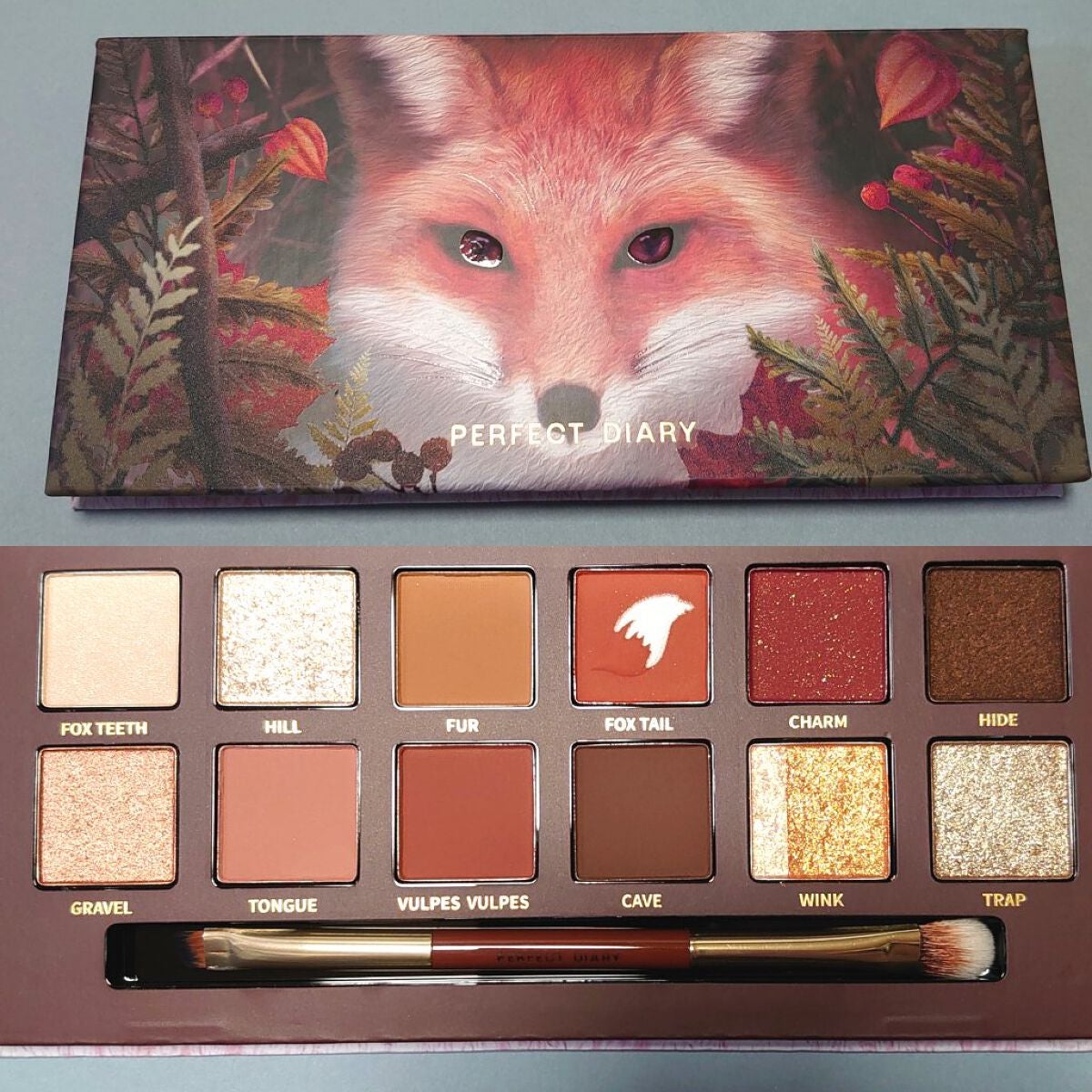 エクスプローラ12色 動物アイシャドウパレット/PERFECT DIARY/アイシャドウパレットを使ったクチコミ(2枚目)