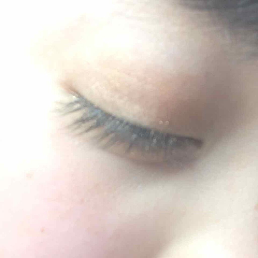 ディアダイアリー・デイリーライフ/KISS NEW YORK/アイシャドウパレットを使ったクチコミ(1枚目)