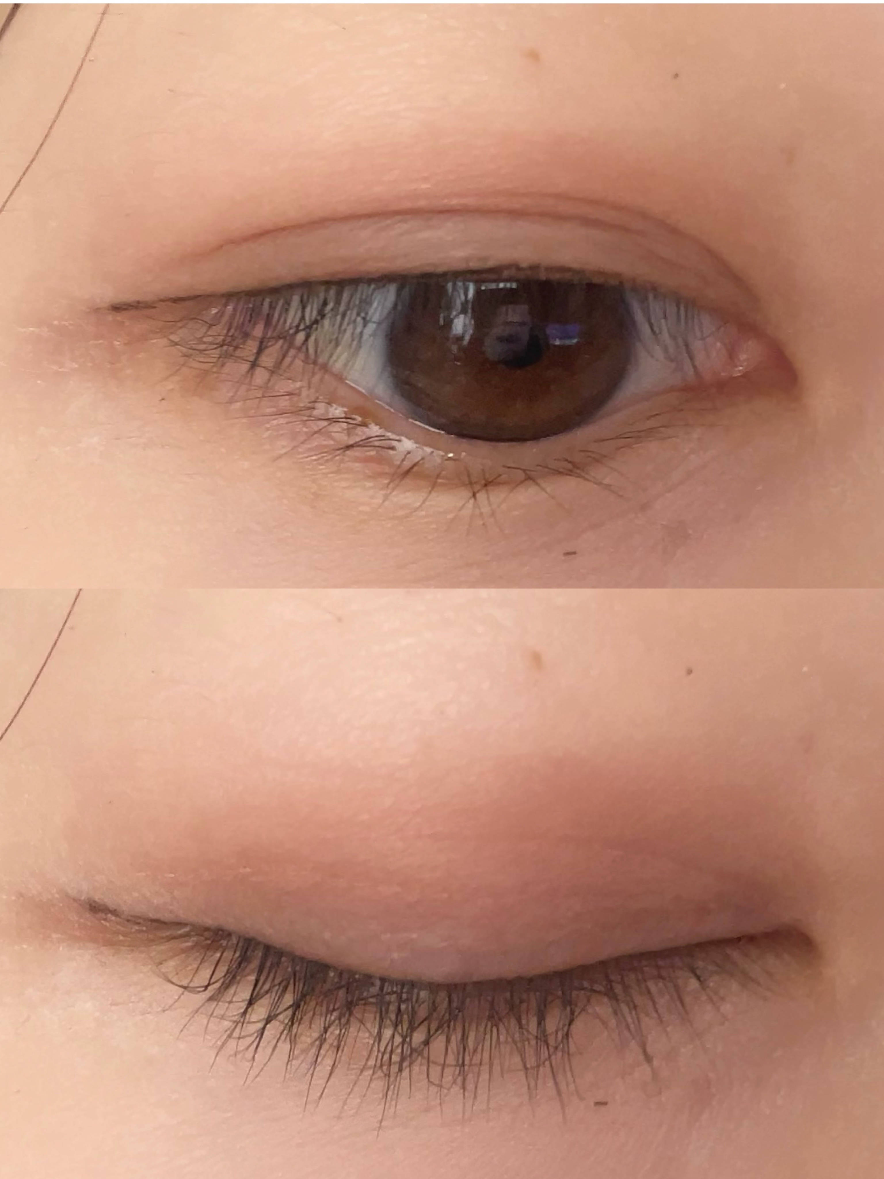 シャドウパレット/dasique/アイシャドウパレットを使ったクチコミ（2枚目）