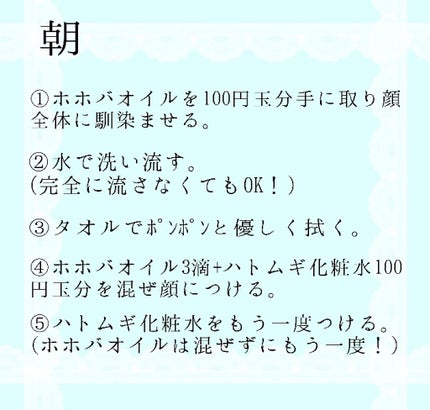 ハトムギ化粧水(ナチュリエ スキンコンディショナー R )/ナチュリエ/化粧水を使ったクチコミ(3枚目)