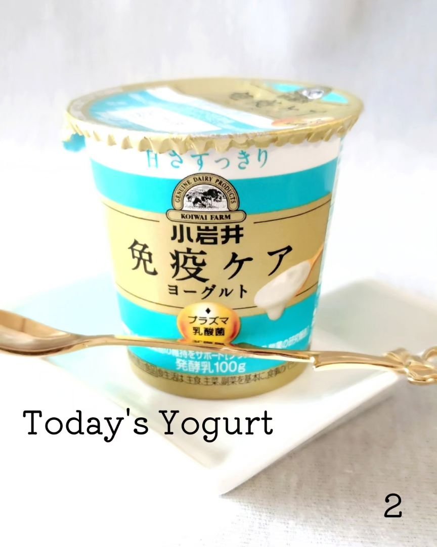 免疫ケアヨーグルト甘さすっきり/小岩井乳業/食品を使ったクチコミ（1枚目）
